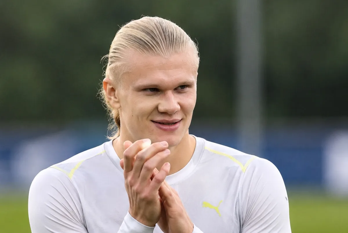 Image: Player Profile: Erling Haaland